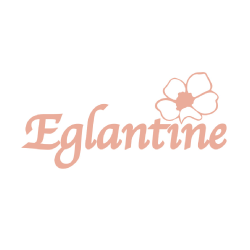2025 - Création d'un logo pour une fleuriste 